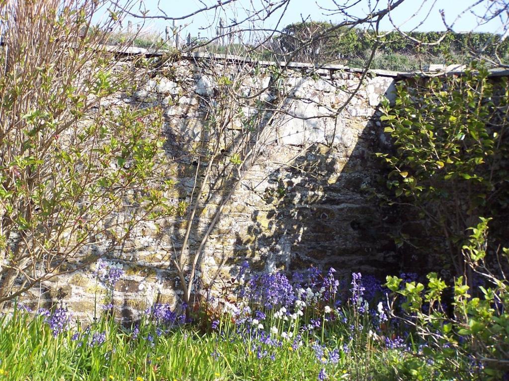 مبيت وإفطار بوسكاسِل The Old Parsonage المظهر الخارجي الصورة